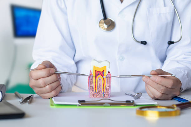 Best After-Hours Emergency Dentist in Coal City, IL